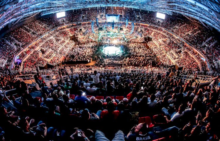 É oficial! UFC anuncia serviço de streaming e novo parceiro no Brasil; saiba detalhes