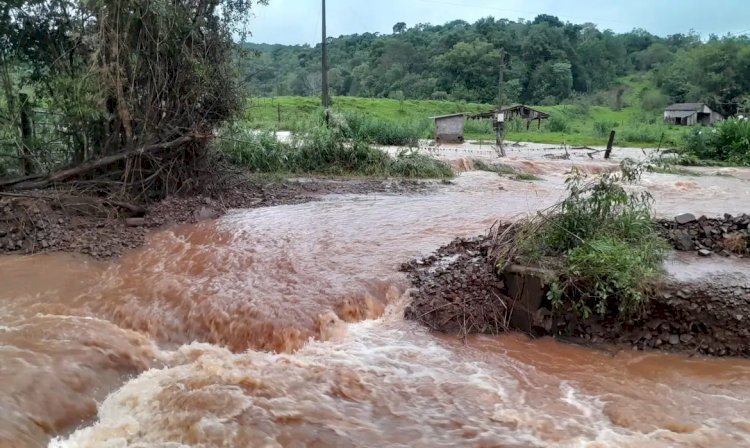 Recuperar vegetação degradada no RS ajuda a prevenir tragédias