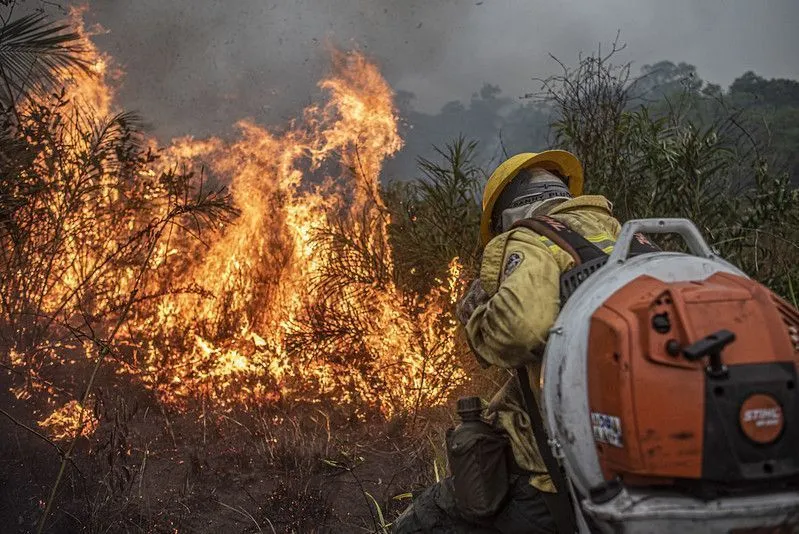 Incêndios avançam no Pará e deixam população exposta a níveis perigosos de poluição