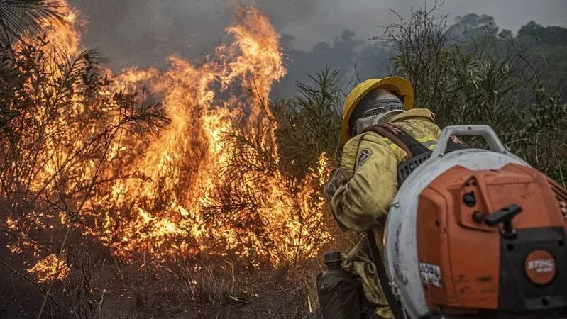 Força Nacional do SUS reforça atendimentos após incêndios provocarem crise de saúde no Amazonas